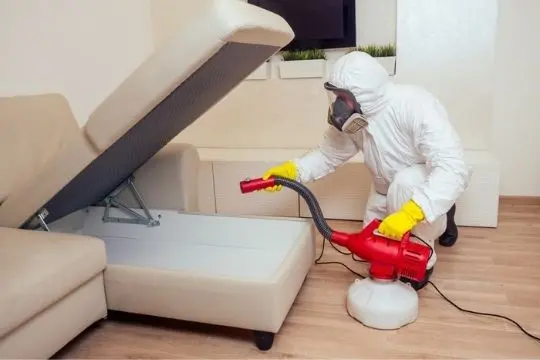 bed bug extermination bobcaygeon