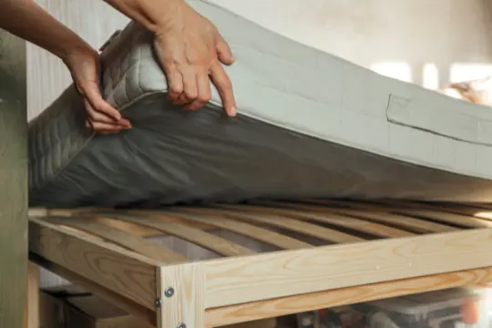 bed bug preparation bobcaygeon