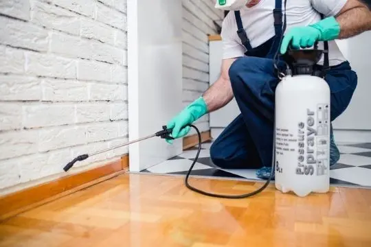 bed bug prevention bobcaygeon