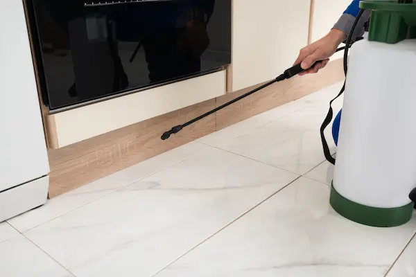 cockroach extermination bobcaygeon