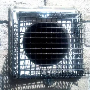 mouse exclusion bobcaygeon