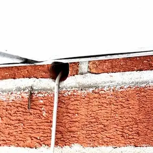 mouse inspection bobcaygeon