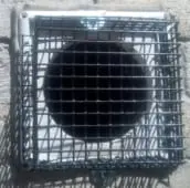 rat exclusion bobcaygeon