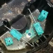 rat extermination bobcaygeon