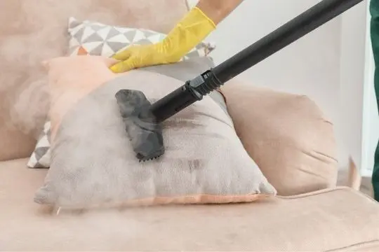 steam bed bug treatment bobcaygeon